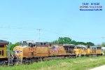 Bearing the colors on Flag Day Saturday